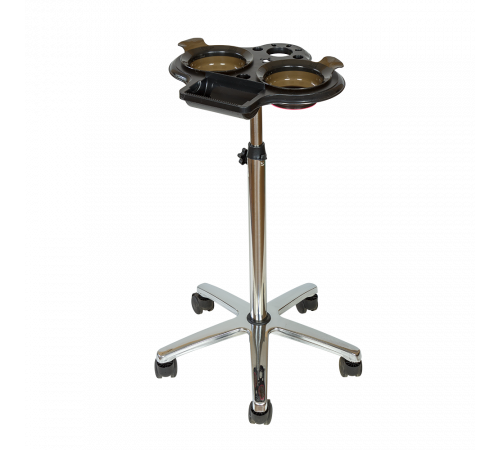 Стойка колориста Т-19