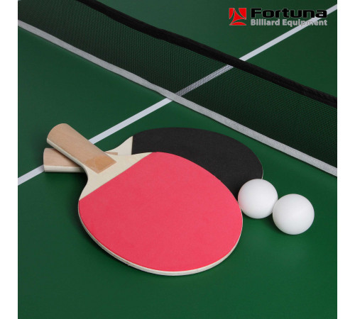 Бильярдный стол Fortuna Пул 6фт 9 в 1 с комплектом аксессуаров