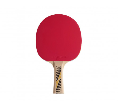 Ракетка DONIC LEGENDS 300