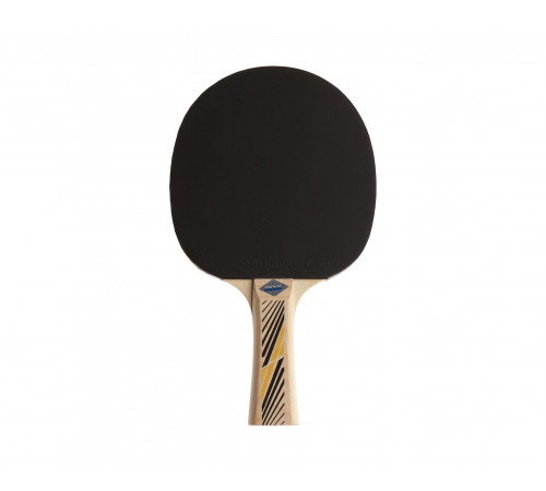 Ракетка DONIC LEGENDS 300